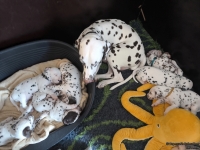 IMG_20250129_143036_web