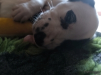 IMG_20250129_143141_web