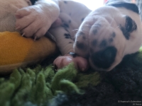 IMG_20250129_143143_web