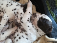 IMG_20250129_143208_web