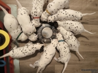 IMG_20250129_201428_web