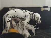 IMG_20250131_123306_web