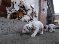 IMG_20250201_080210_web