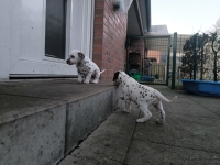 IMG_20250201_080218_web