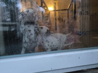 IMG_20250201_080305_web