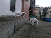 IMG_20250201_080216_web