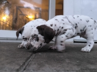 IMG_20250201_080324_web