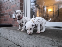 IMG_20250201_080425_web