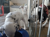 IMG_20250201_130625_web