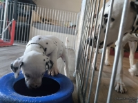 IMG_20250201_130634_web