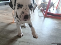 IMG_20250201_151724_web