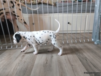 IMG_20250201_151749_web