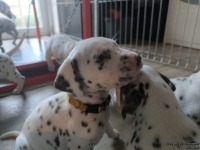 IMG_20250201_151843_web