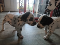 IMG_20250201_151857_web