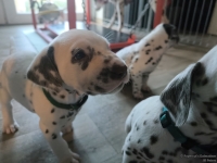 IMG_20250201_151910_web