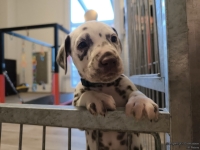 IMG_20250203_081921_web