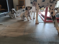 IMG_20250201_152005_web