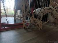 IMG_20250201_152026_web