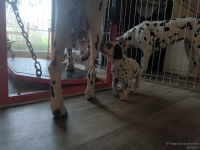 IMG_20250201_152025_web