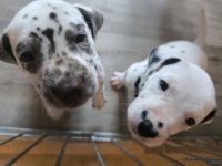 IMG_20250201_152110_web