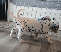 IMG_20250201_152119_web