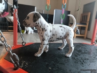 IMG_20250201_152349_web