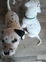 IMG_20250201_152453_web