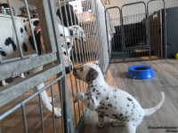 IMG_20250201_152527_web