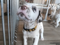 IMG_20250201_153115_web