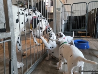 IMG_20250201_153135_web