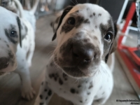 IMG_20250201_153146_web