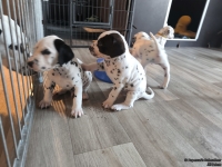 IMG_20250201_153259_web