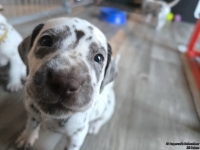 IMG_20250201_153205_web