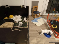 IMG_20250202_213009_web