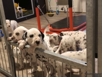 IMG_20250203_075834_web