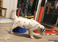 IMG_20250202_213023_web