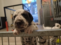 IMG_20250203_080005_web