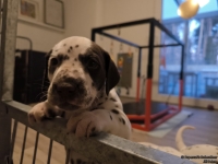 IMG_20250203_080009_web