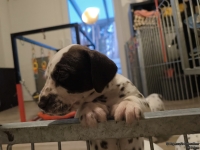 IMG_20250203_080015_web