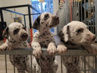 IMG_20250203_080029_web