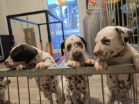 IMG_20250203_080034_web