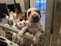 IMG_20250203_080139_web