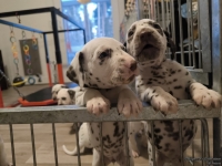 IMG_20250203_080253_web