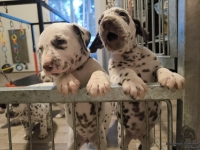 IMG_20250203_080256_web