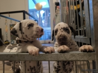 IMG_20250203_080305_web