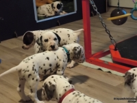 IMG_20250203_080405_web