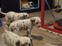 IMG_20250203_080415_web