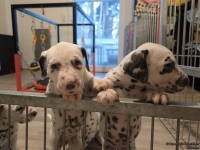 IMG_20250203_080745_web