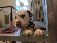 IMG_20250203_081925_web