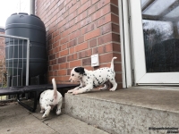 IMG_20250204_091424_web